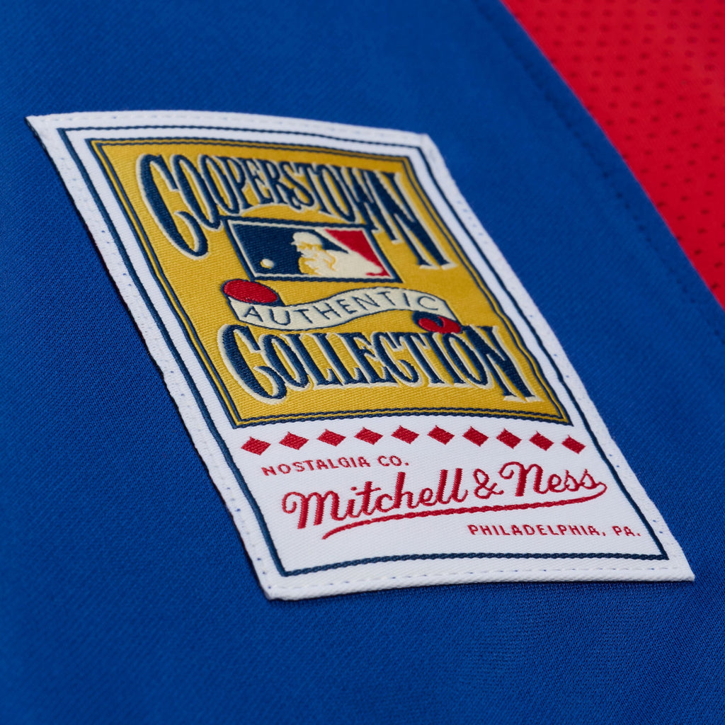 Men's Texas Rangers Adrian Beltre Mitchell & Ness Royal Cooperstown Mesh Batting Practice Button-Up Jersey - 4