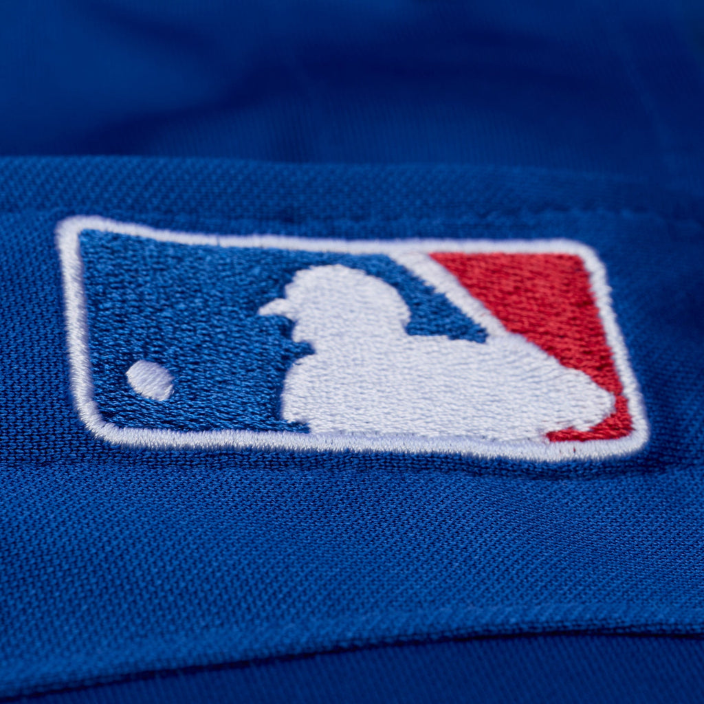 Men's Texas Rangers Adrian Beltre Mitchell & Ness Royal Cooperstown Mesh Batting Practice Button-Up Jersey - 6