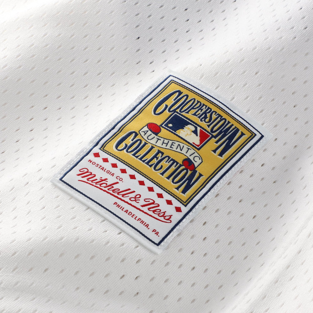 Men's Chicago White Sox Carlton Fisk Mitchell & Ness White Authentic Batting Practice Jersey - 8
