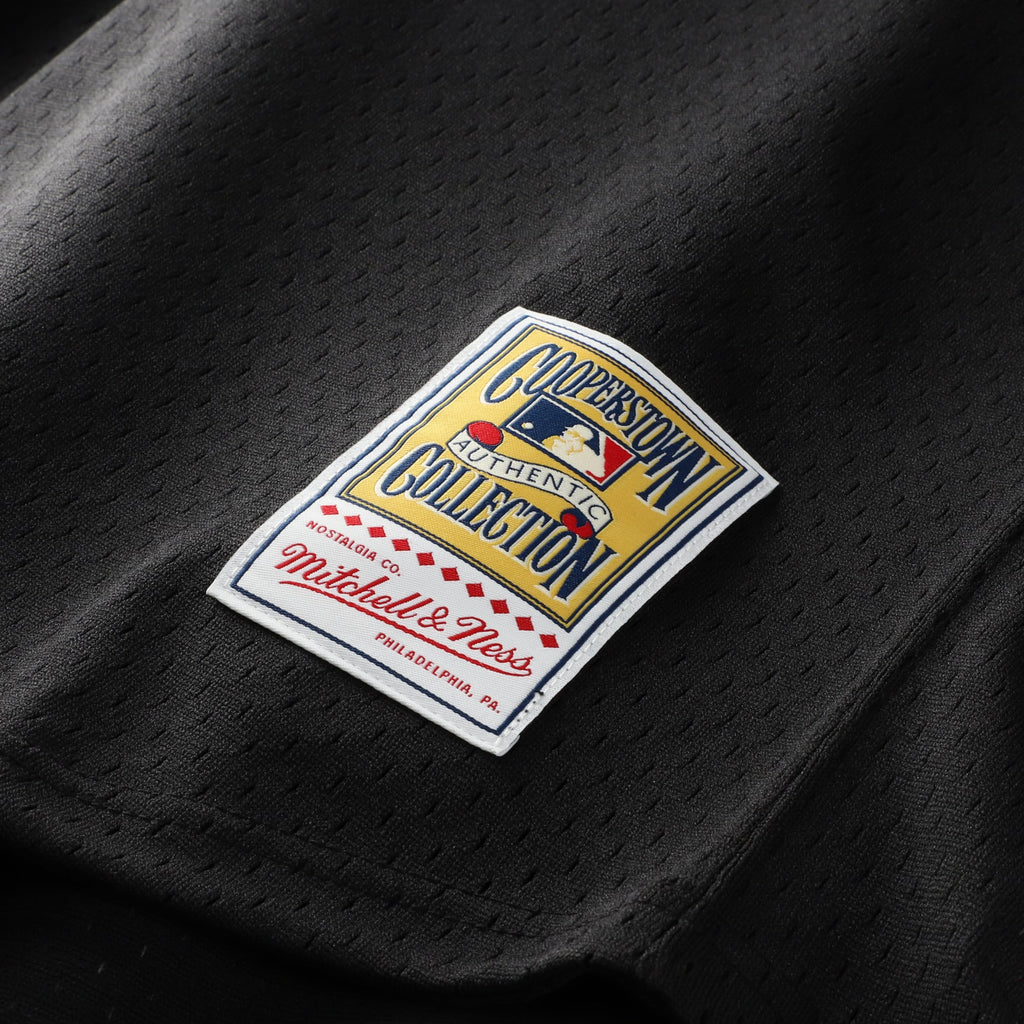 Men's Houston Astros Craig Biggio Mitchell & Ness Black Authentic Batting Practice Jersey - 8