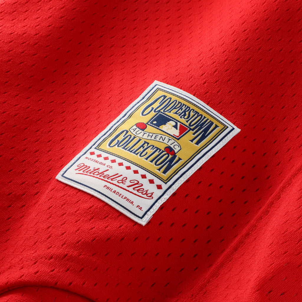 Men's Atlanta Braves Dale Murphy Mitchell & Ness Scarlet Authentic Batting Practice Jersey - 8