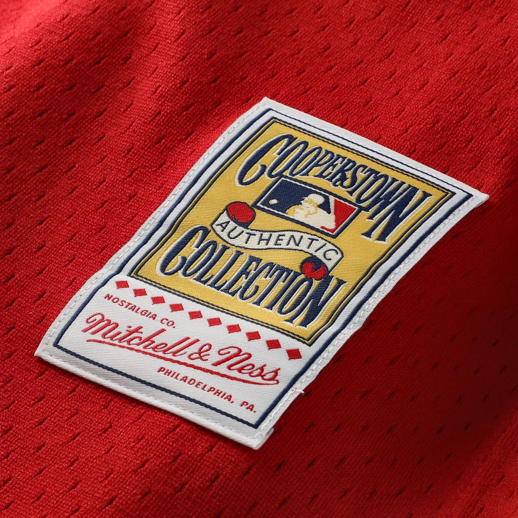 Men's Cincinnati Reds Johnny Bench Mitchell & Ness Scarlet Authentic Batting Practice Jersey - 8