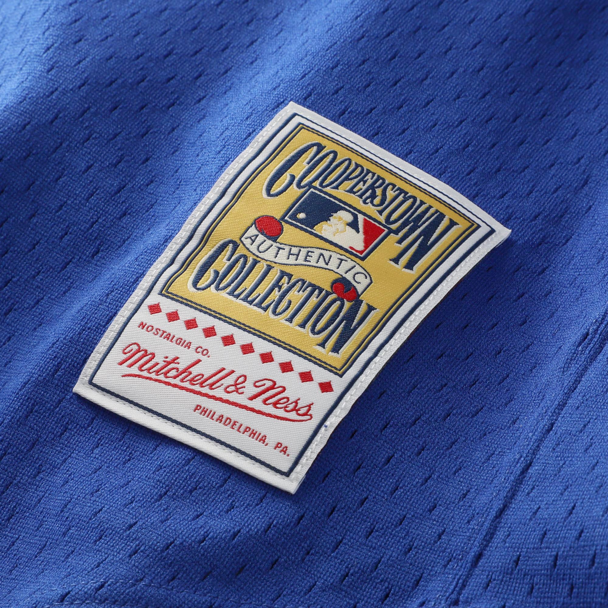 Men's Texas Rangers Nolan Ryan Mitchell & Ness Royal Authentic Batting Practice Jersey - 8