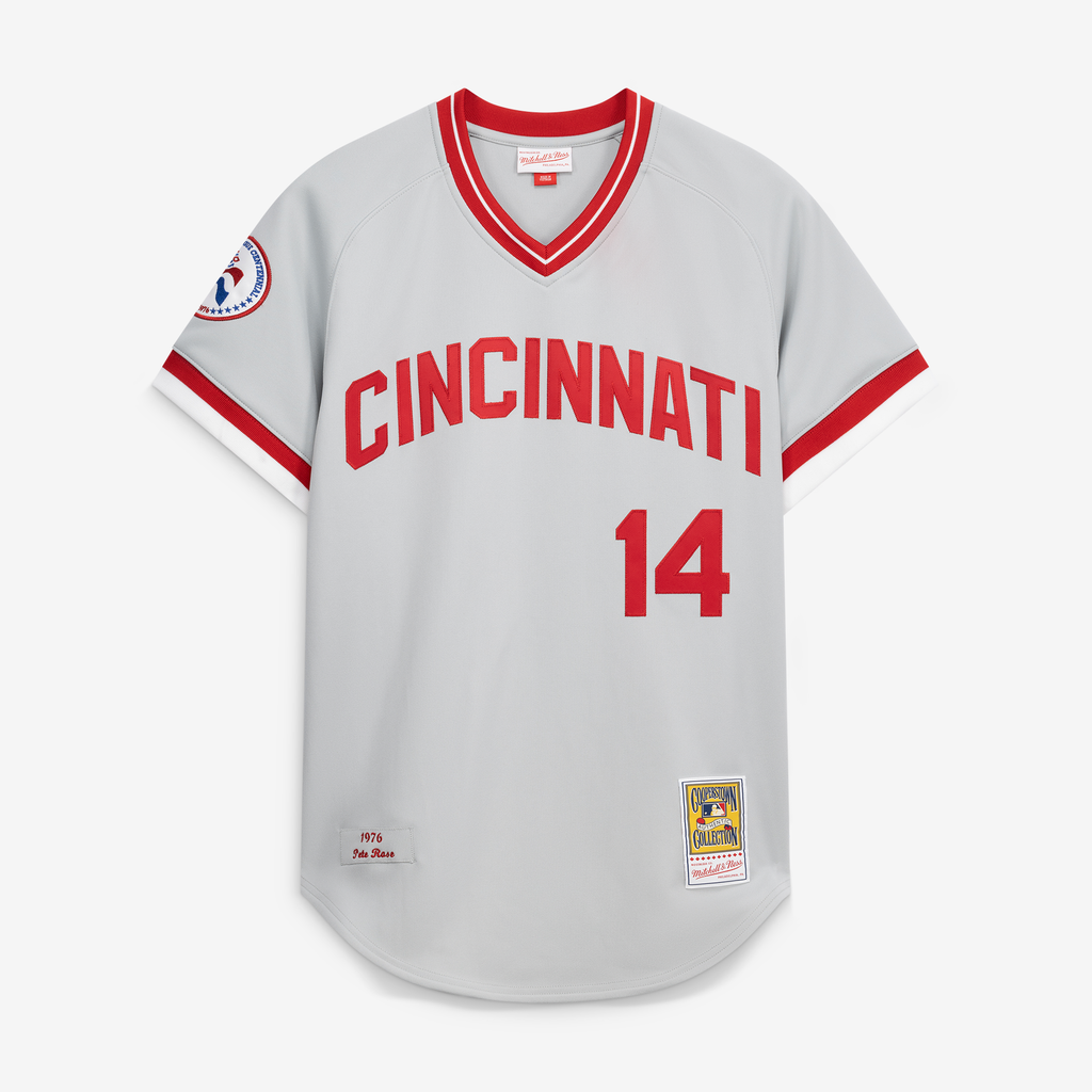 Men's Cincinnati Reds Pete Rose Mitchell & Ness Gray 1976 Authentic Jersey - 3