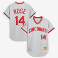 Men's Cincinnati Reds Pete Rose Mitchell & Ness Gray 1976 Authentic Jersey