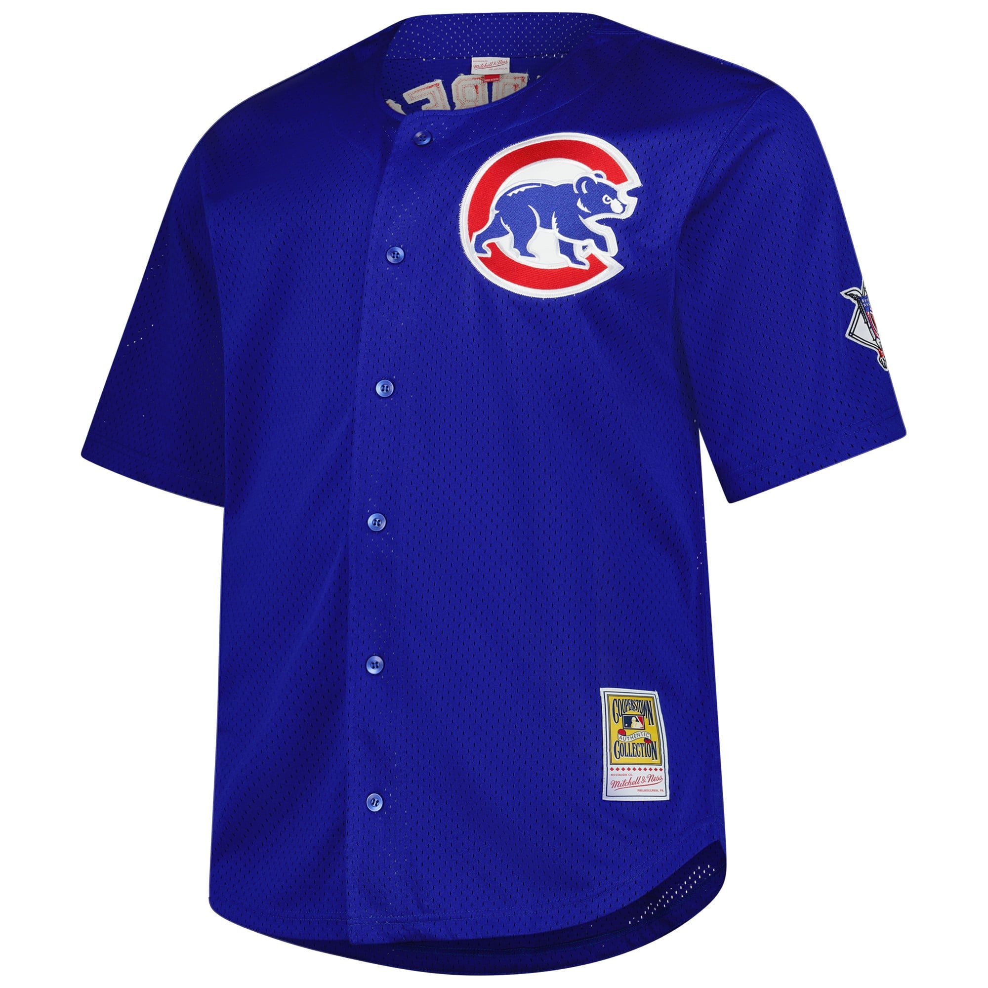 Men's Chicago Cubs Ryne Sandberg Mitchell & Ness Royal Big & Tall Cooperstown Mesh Batting Practice Jersey - 3
