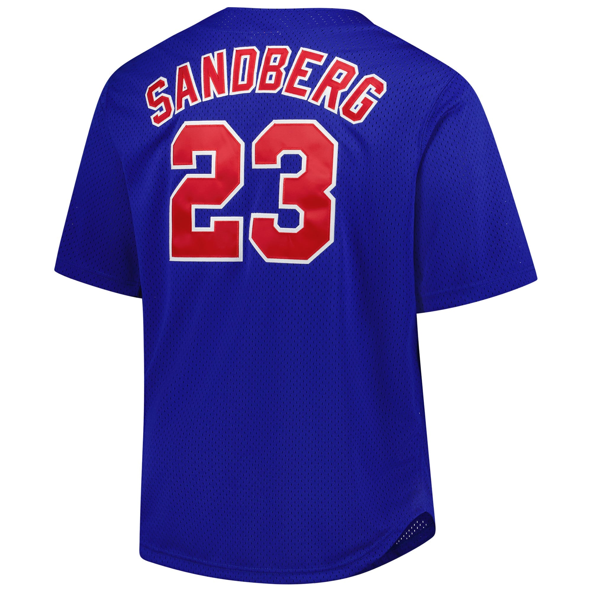 Men's Chicago Cubs Ryne Sandberg Mitchell & Ness Royal Big & Tall Cooperstown Mesh Batting Practice Jersey - 4