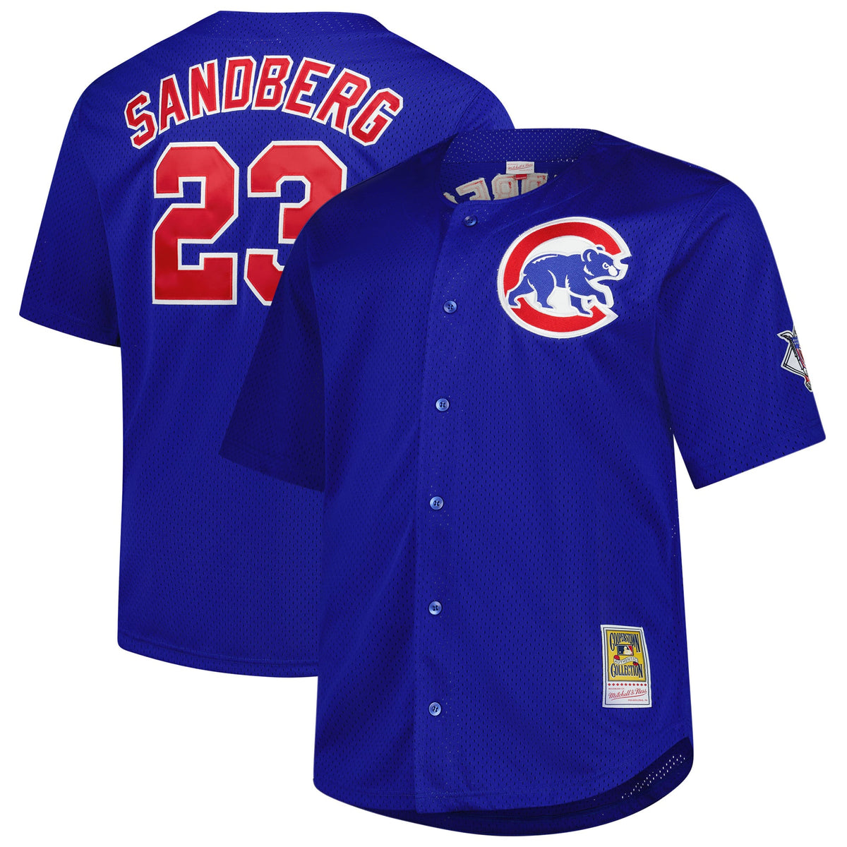 Men's Chicago Cubs Ryne Sandberg Mitchell & Ness Royal Big & Tall Cooperstown Mesh Batting Practice Jersey