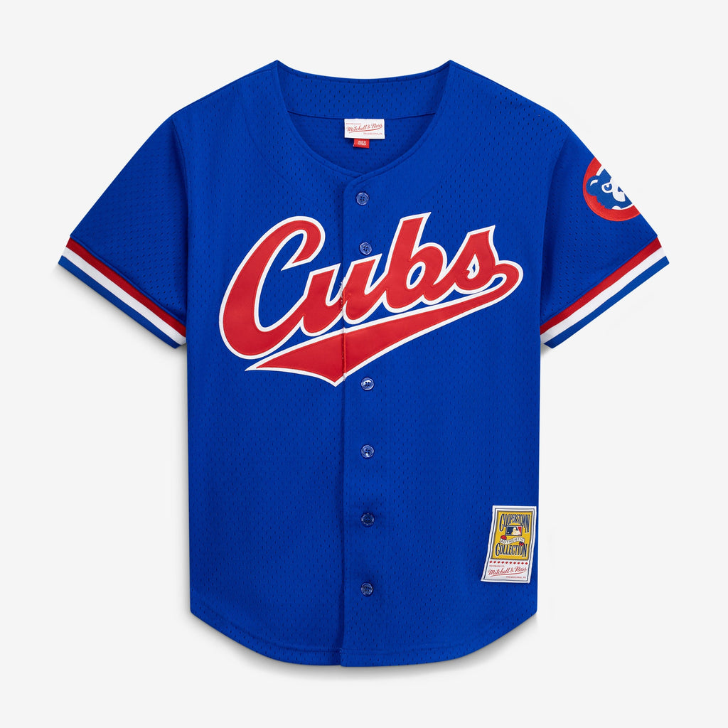 Men's Chicago Cubs Ryne Sandberg Mitchell & Ness Royal Cooperstown Collection 1996 Mesh Batting Practice Button-Up Jersey - 2