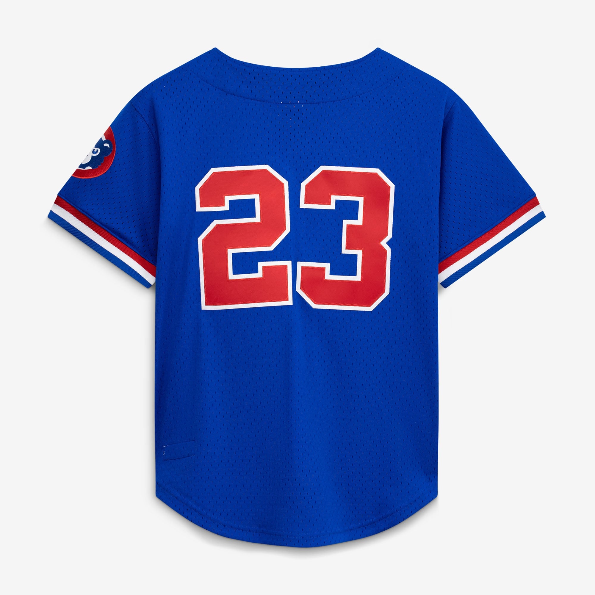 Men's Chicago Cubs Ryne Sandberg Mitchell & Ness Royal Cooperstown Collection 1996 Mesh Batting Practice Button-Up Jersey - 3