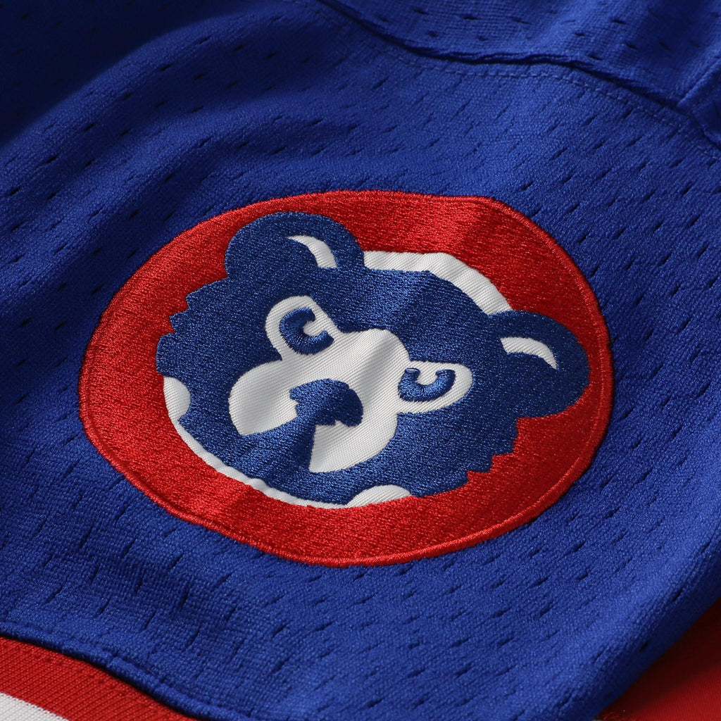 Men's Chicago Cubs Ryne Sandberg Mitchell & Ness Royal Cooperstown Collection 1996 Mesh Batting Practice Button-Up Jersey - 6