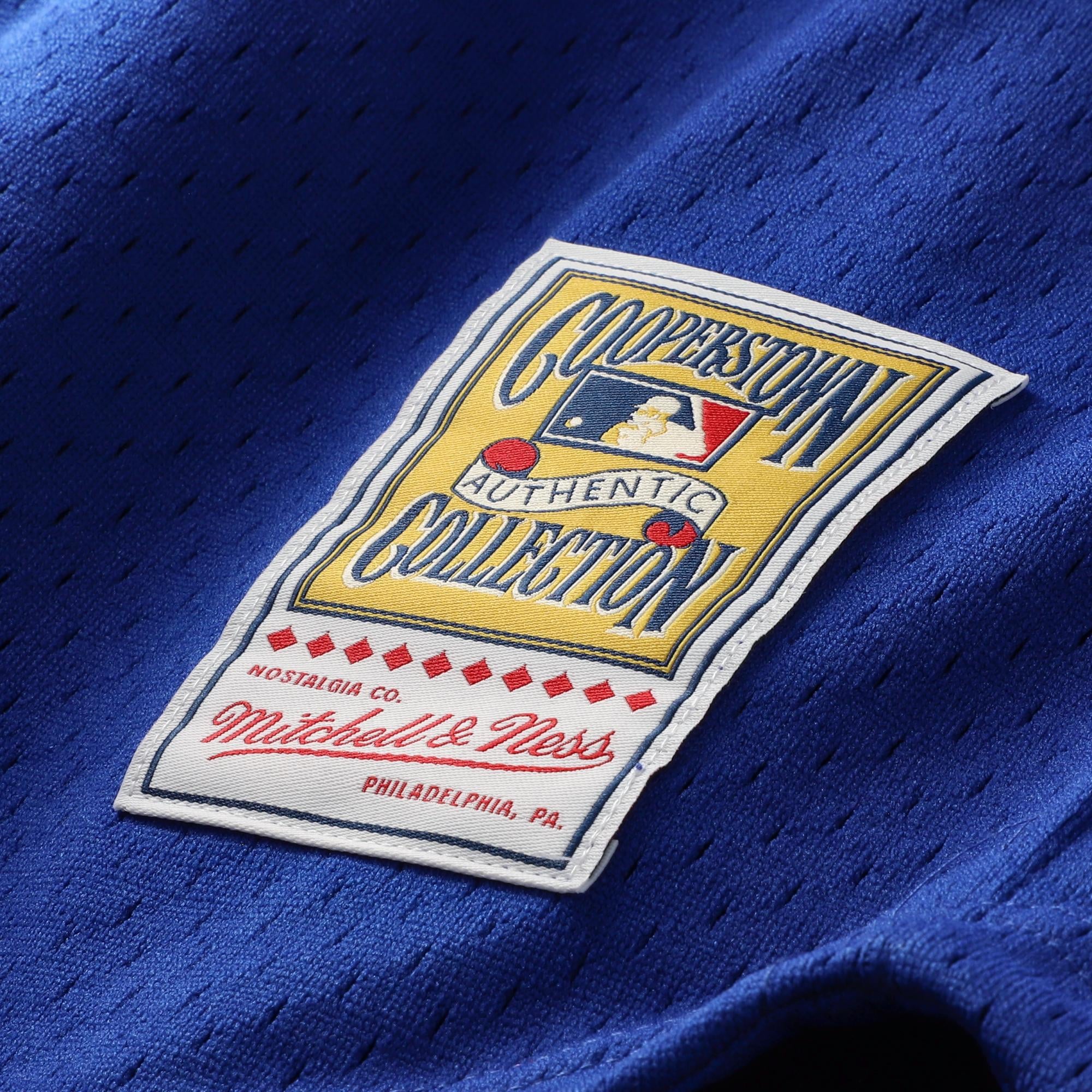 Men's Chicago Cubs Ryne Sandberg Mitchell & Ness Royal Cooperstown Collection 1996 Mesh Batting Practice Button-Up Jersey - 8