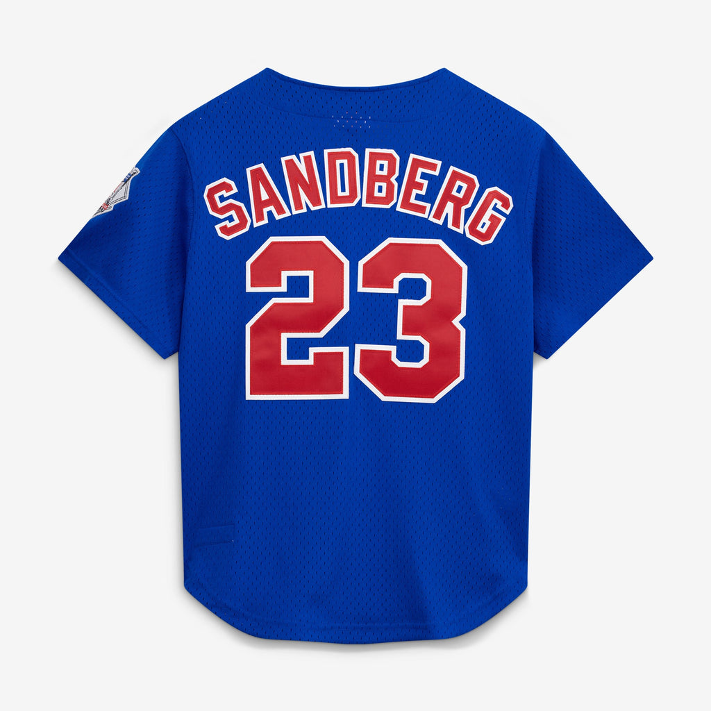 Men's Chicago Cubs Ryne Sandberg Mitchell & Ness Royal Cooperstown Collection 1997 Mesh Batting Practice Button-Up Jersey - 3