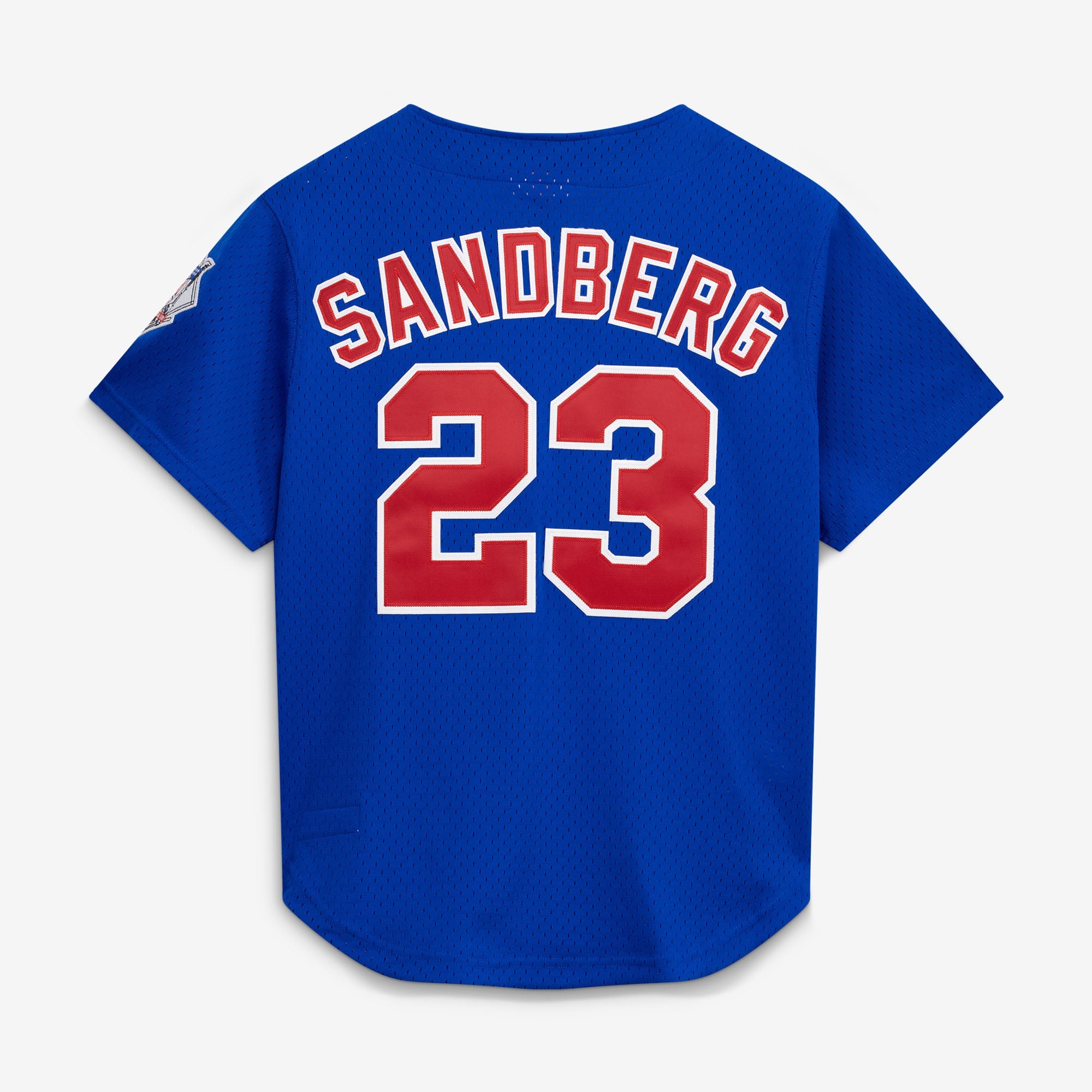 Men's Chicago Cubs Ryne Sandberg Mitchell & Ness Royal Cooperstown Collection 1997 Mesh Batting Practice Button-Up Jersey - 3