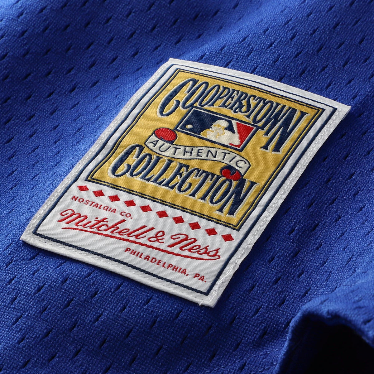 Men's Chicago Cubs Ryne Sandberg Mitchell & Ness Royal Cooperstown Collection 1997 Mesh Batting Practice Button-Up Jersey - 8
