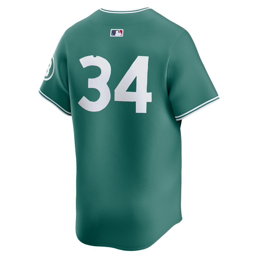 Men's Boston Red Sox David Ortiz Nike Green 2025 City Connect Limited Retired Player Jersey - 4