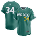 Men's Boston Red Sox David Ortiz Nike Green 2025 City Connect Limited Retired Player Jersey
