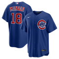 Men's Chicago Cubs Shota Imanaga Nike Royal Alternate Replica Jersey
