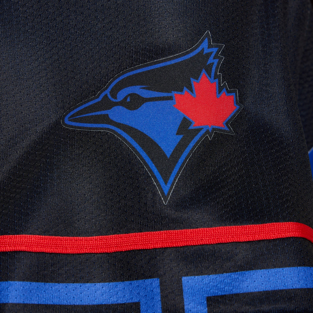 Women's Toronto Blue Jays Vladimir Guerrero Jr. Nike Navy 2024 City Connect Limited Player Jersey - 13