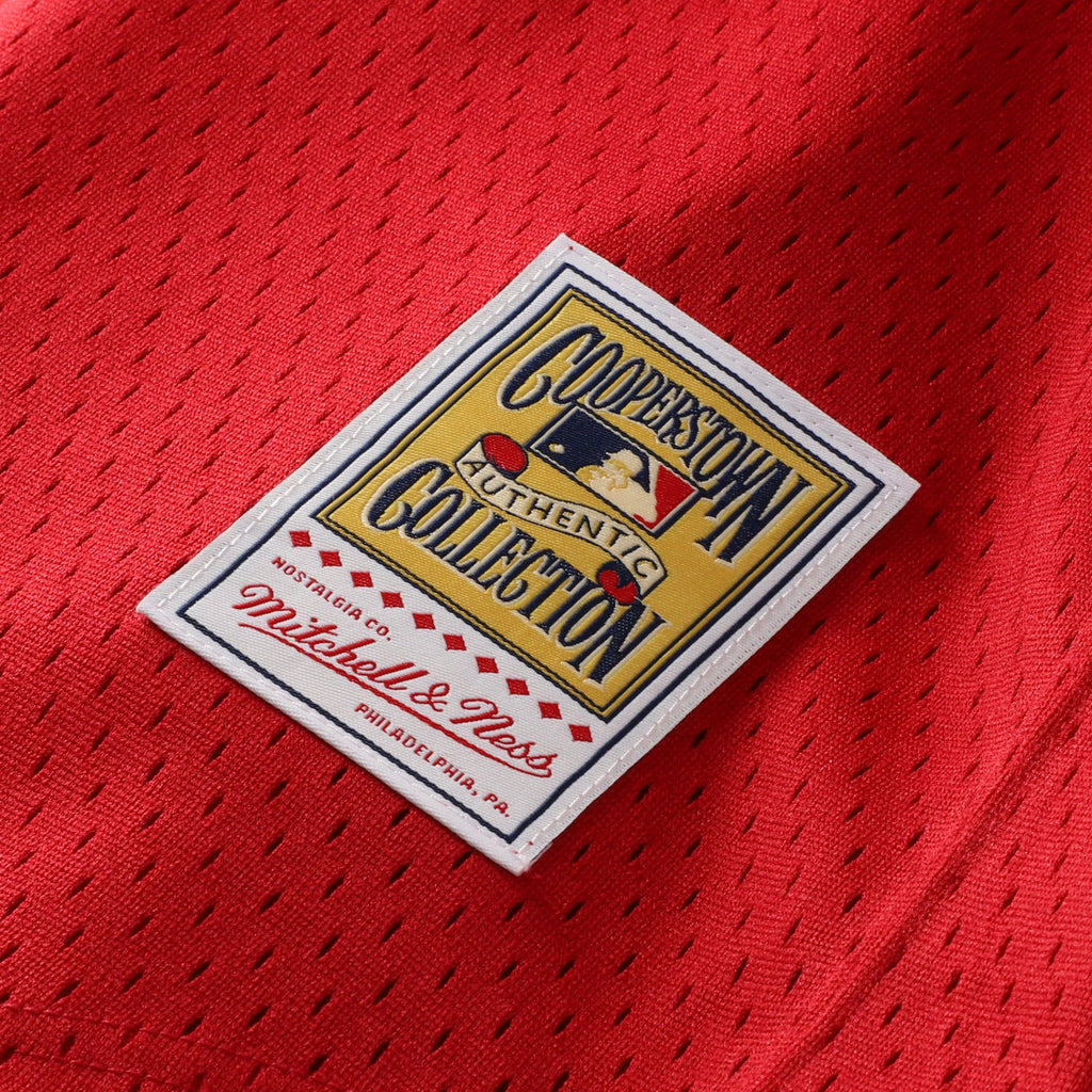 Youth St. Louis Cardinals Ozzie Smith Mitchell & Ness Navy Cooperstown Collection Mesh Batting Practice Jersey - 8