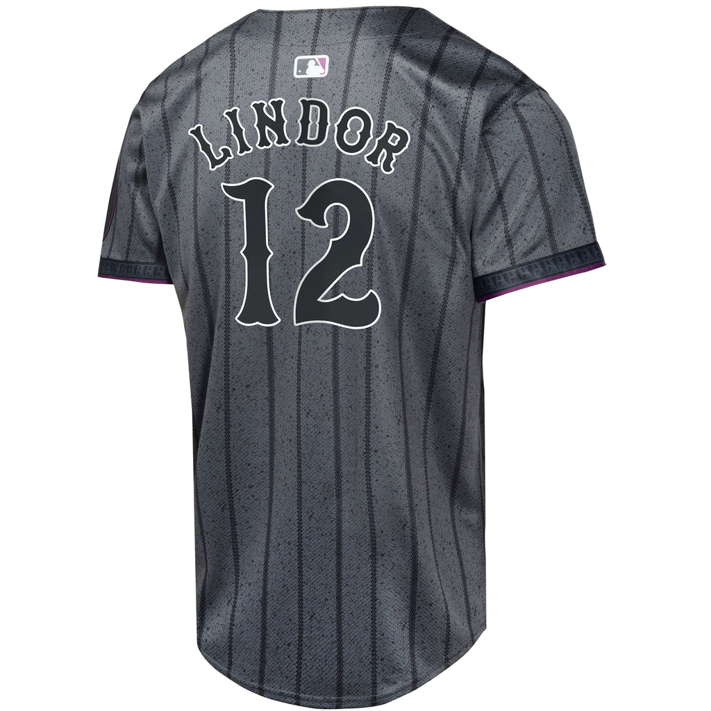 Youth New York Mets Francisco Lindor Nike Graphite 2024 City Connect Limited Player Jersey - 4