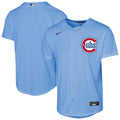 Youth Chicago Cubs Nike Light Blue Alternate Replica Jersey